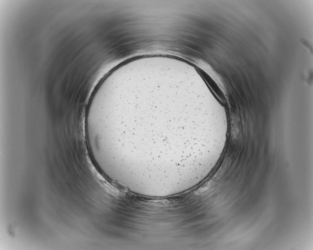 X0000097961388200804211051