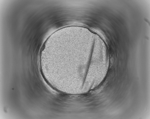 X0000097961391200804211051