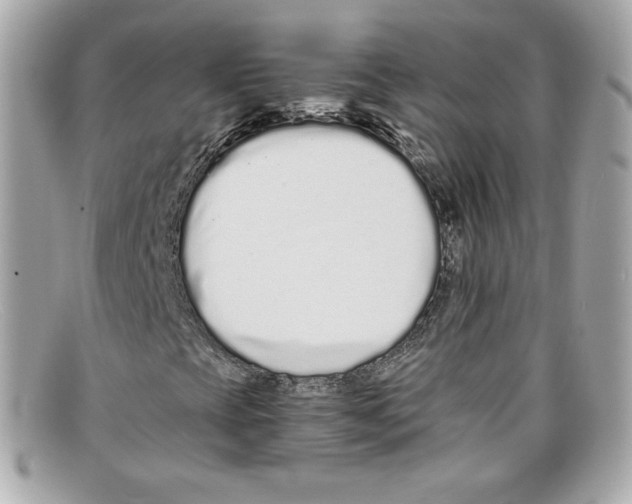 X0000097961393200804211050