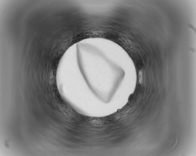 X0000097961395200804211050