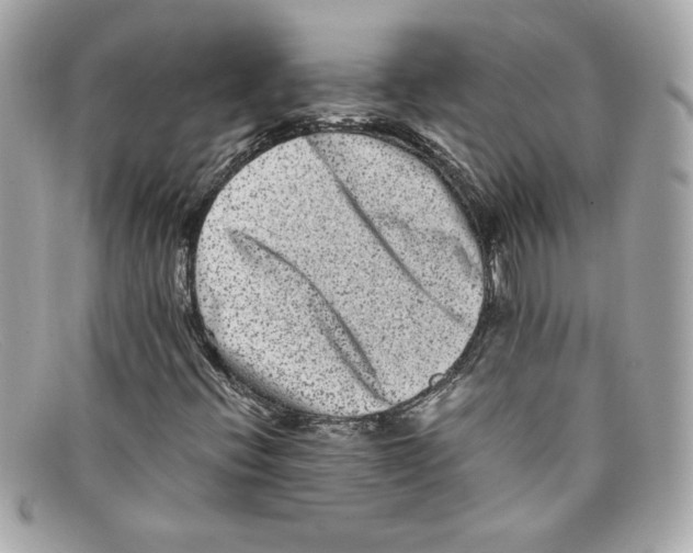 X0000097961396200804211050