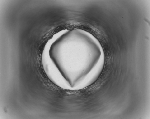 X0000097961397200804211050