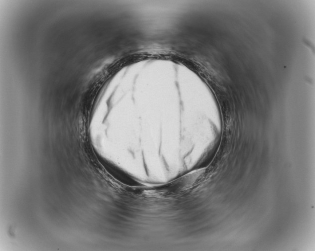 X0000097961398200804211050
