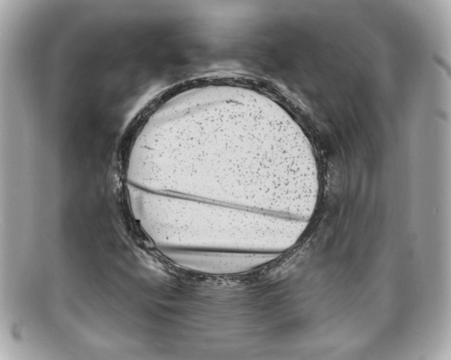 X0000097961400200804211050
