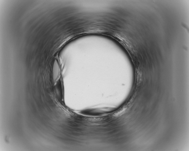 X0000097961401200804211050