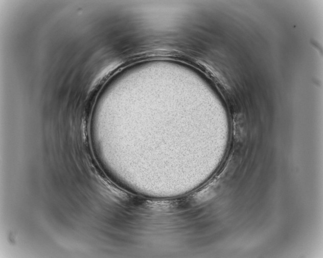 X0000097961402200804211050