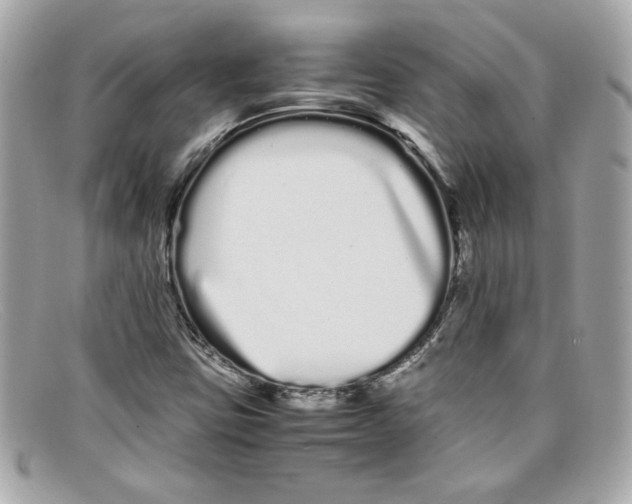 X0000097961403200804211050