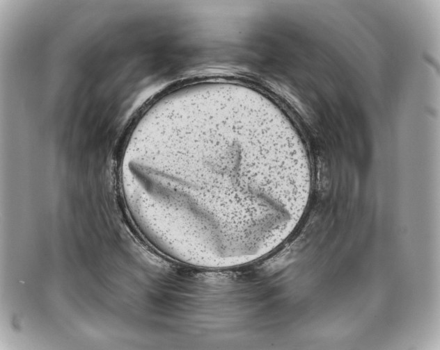 X0000097961404200804211050