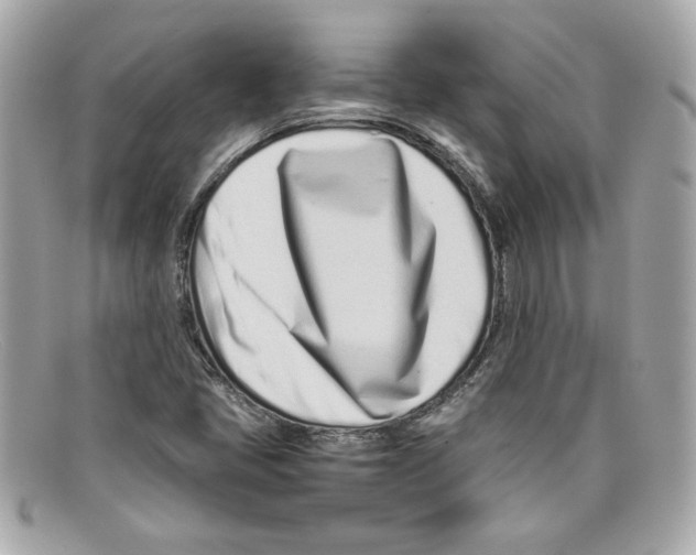 X0000097961405200804211050