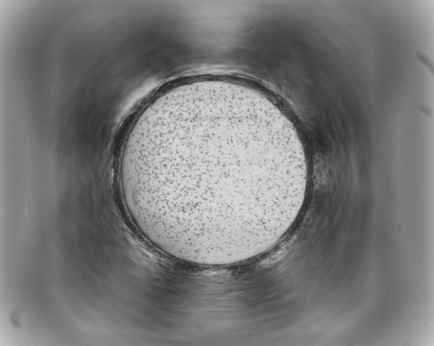 X0000097961406200804211050