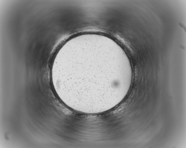 X0000097961408200804211050