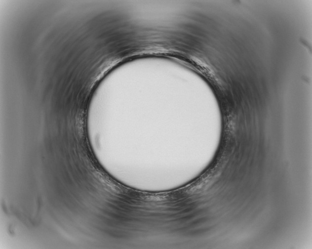 X0000097961409200804211050