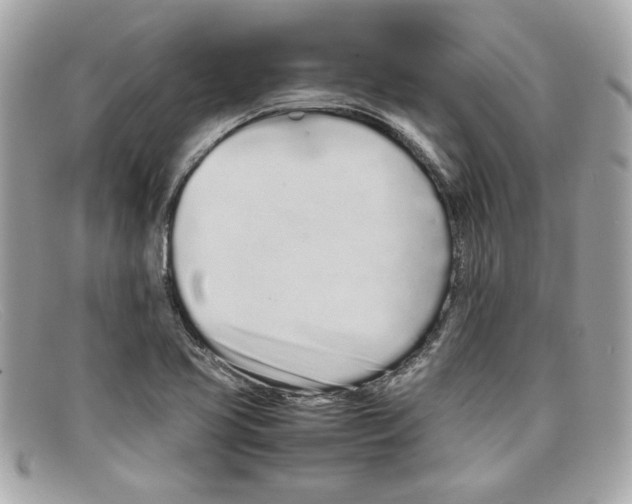 X0000097961413200804211050