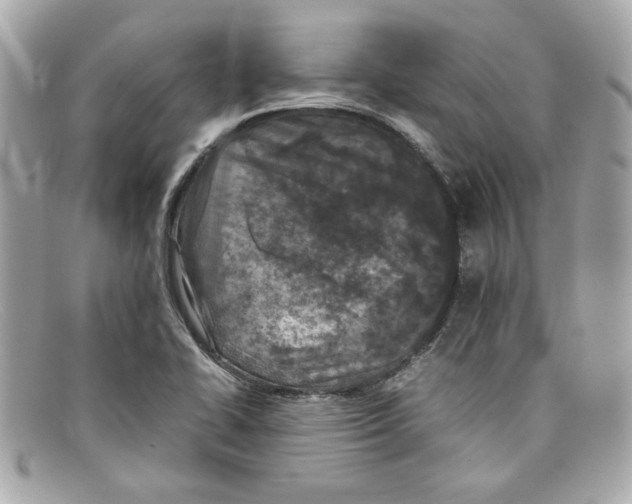 X0000097961414200804211050