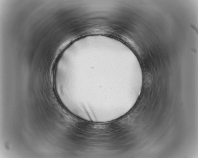 X0000097961419200804211050