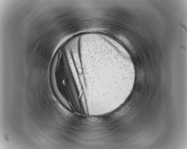 X0000097961420200804211050