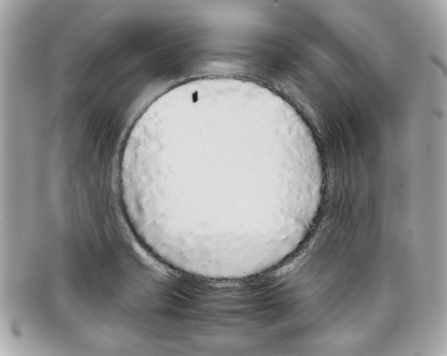 X0000097961421200804211050