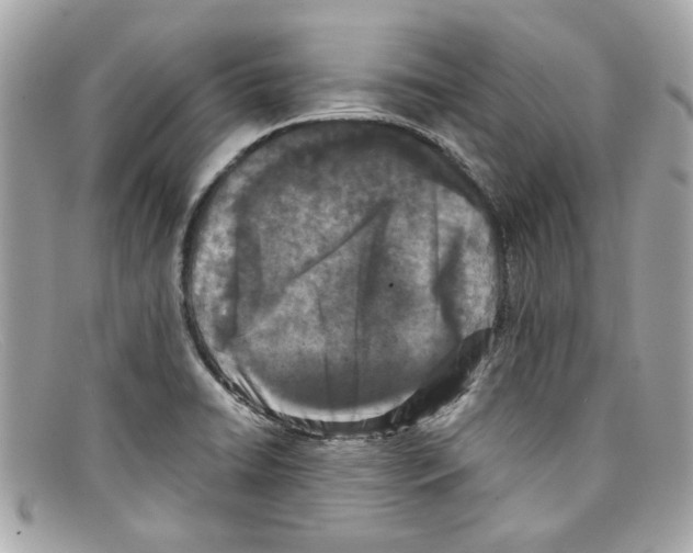 X0000097961422200804211050
