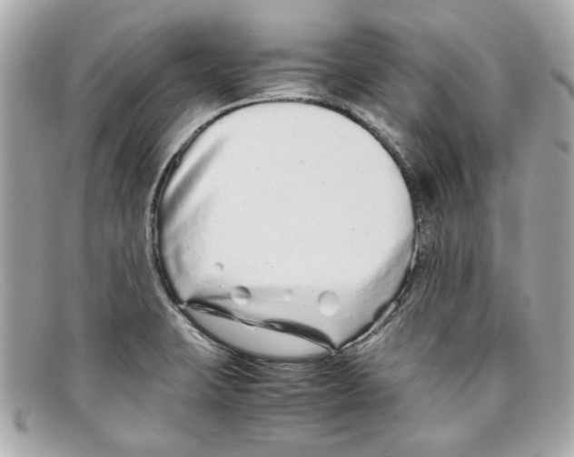 X0000097961423200804211050