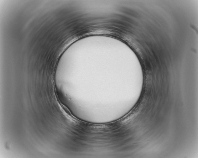 X0000097961425200804211050