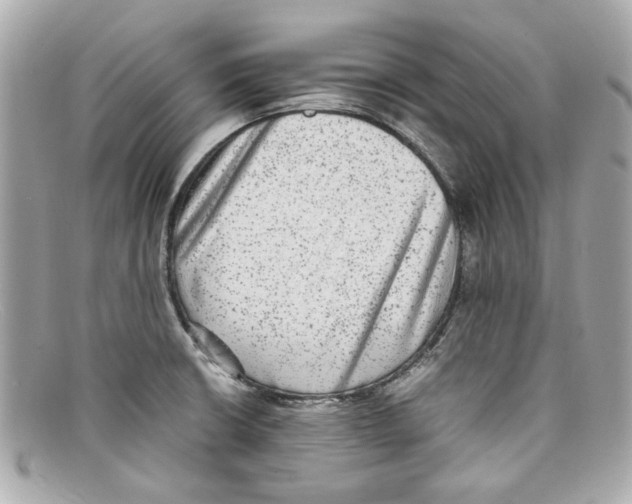 X0000097961426200804211050