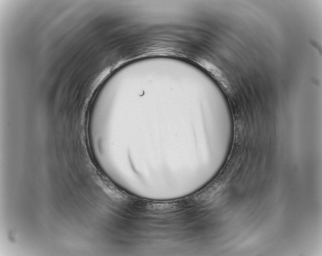 X0000097961427200804211050
