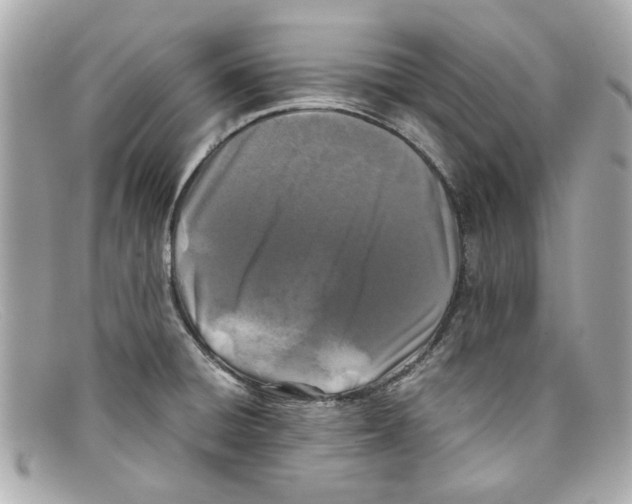 X0000097961428200804211050
