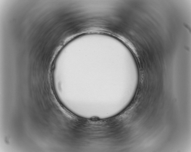 X0000097961429200804211050