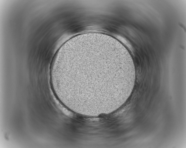 X0000097961431200804211050