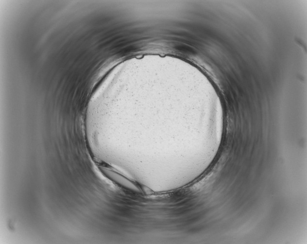 X0000097961433200804211050