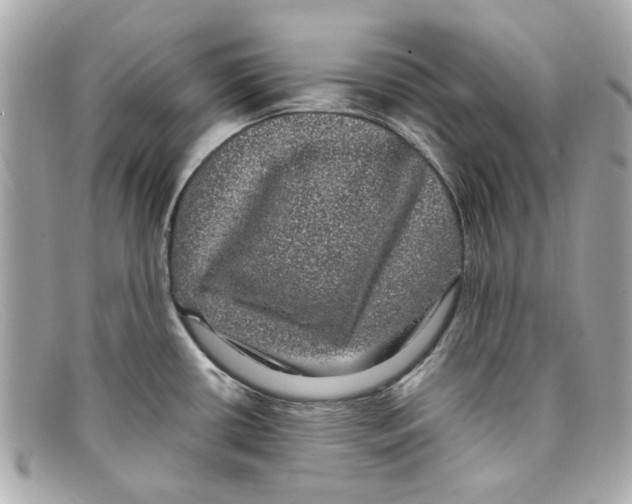 X0000097961434200804211051