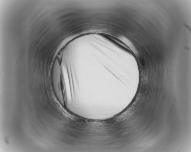 X0000097961436200804211051