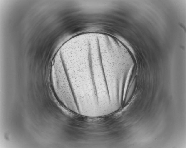 X0000097961437200804211051
