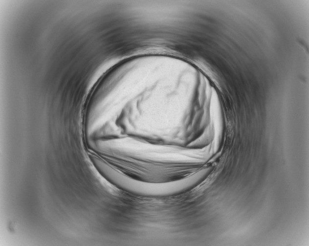 X0000097961438200804211051