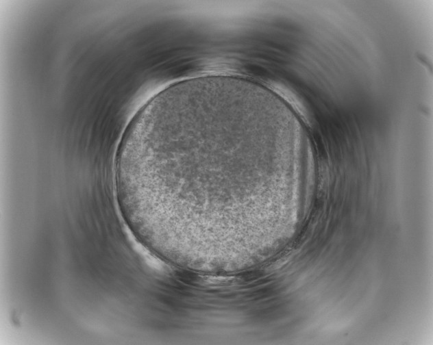 X0000097961439200804211051