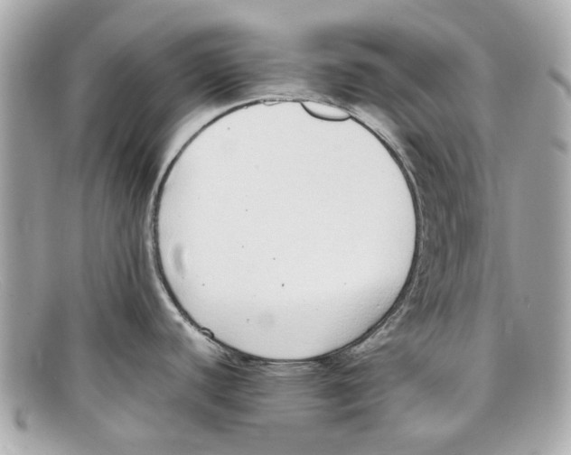 X0000097961440200804211051