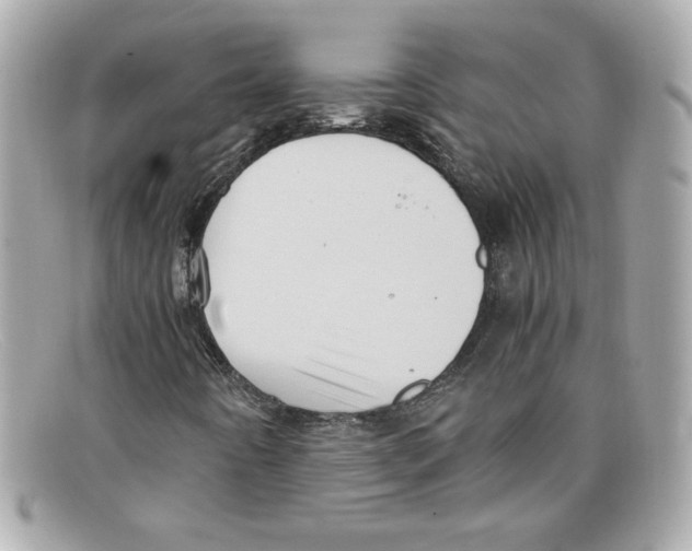 X0000097961442200804211050