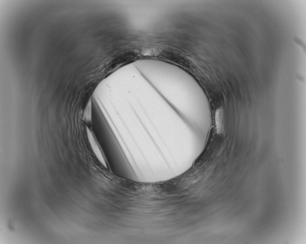 X0000097961443200804211050
