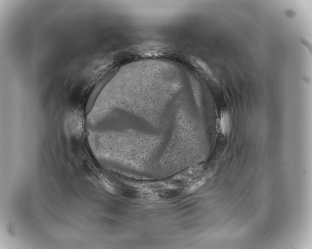 X0000097961444200804211050
