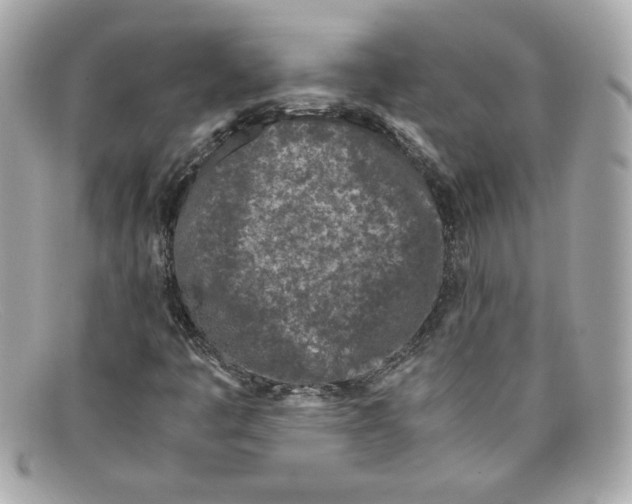 X0000097961445200804211050