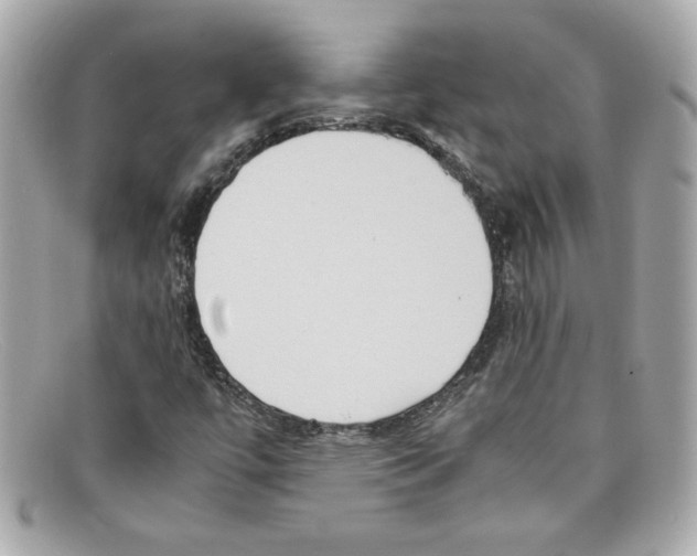 X0000097961447200804211050