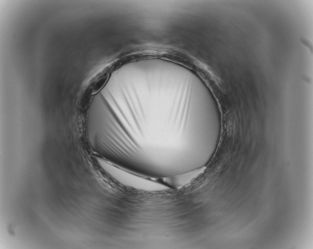 X0000097961448200804211050