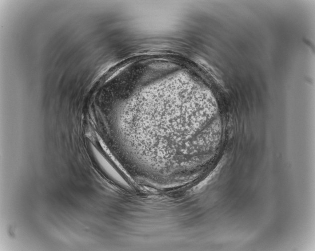 X0000097961449200804211050
