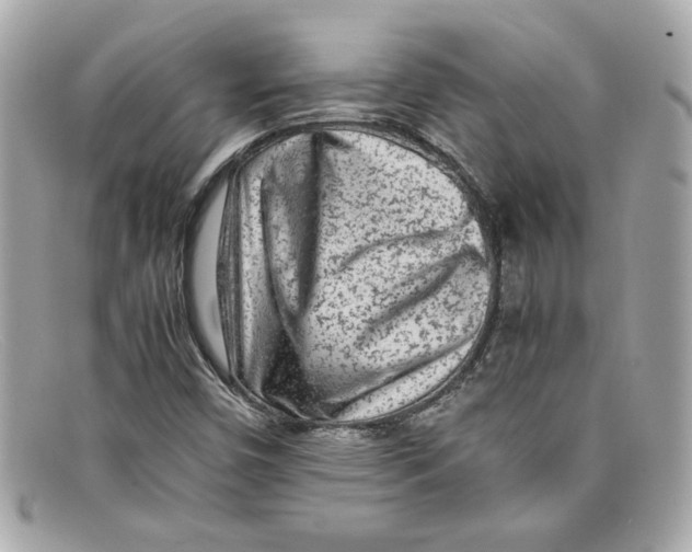 X0000097961450200804211050
