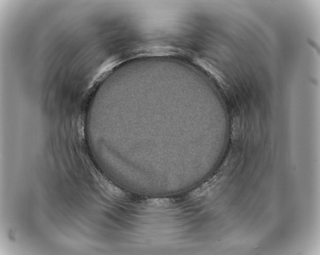 X0000097961451200804211050