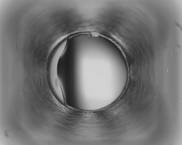 X0000097961452200804211050