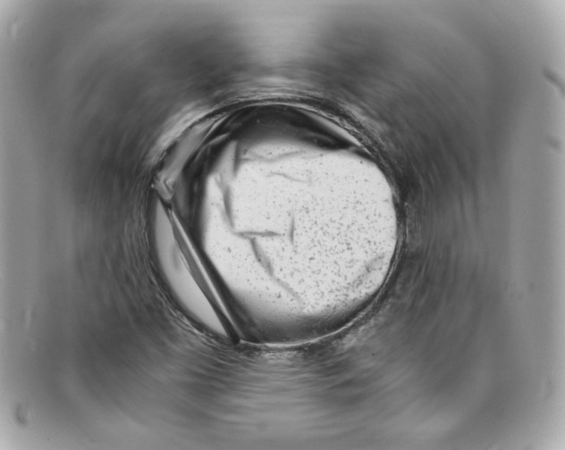 X0000097961453200804211050