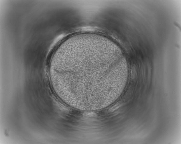 X0000097961454200804211050