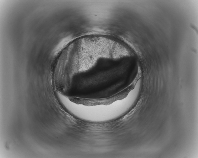 X0000097961455200804211050