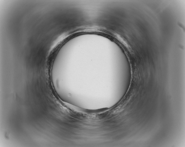 X0000097961456200804211050